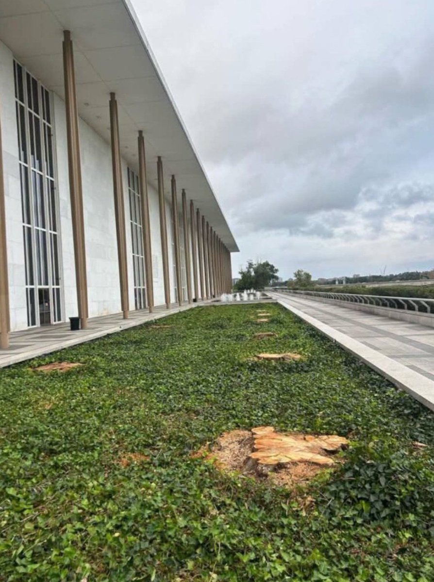 AzPetrich's tweet photo. The Orange Mussolini has now cut down the historic Willow Trees at the Kennedy Center, our nation's living memorial to President Kennedy. He just cut them down.  How much of our history are we willing to watch disappear? It's disgusting and heartbreaking and God, I despise him. https://t.co/99rL6yLAcN
