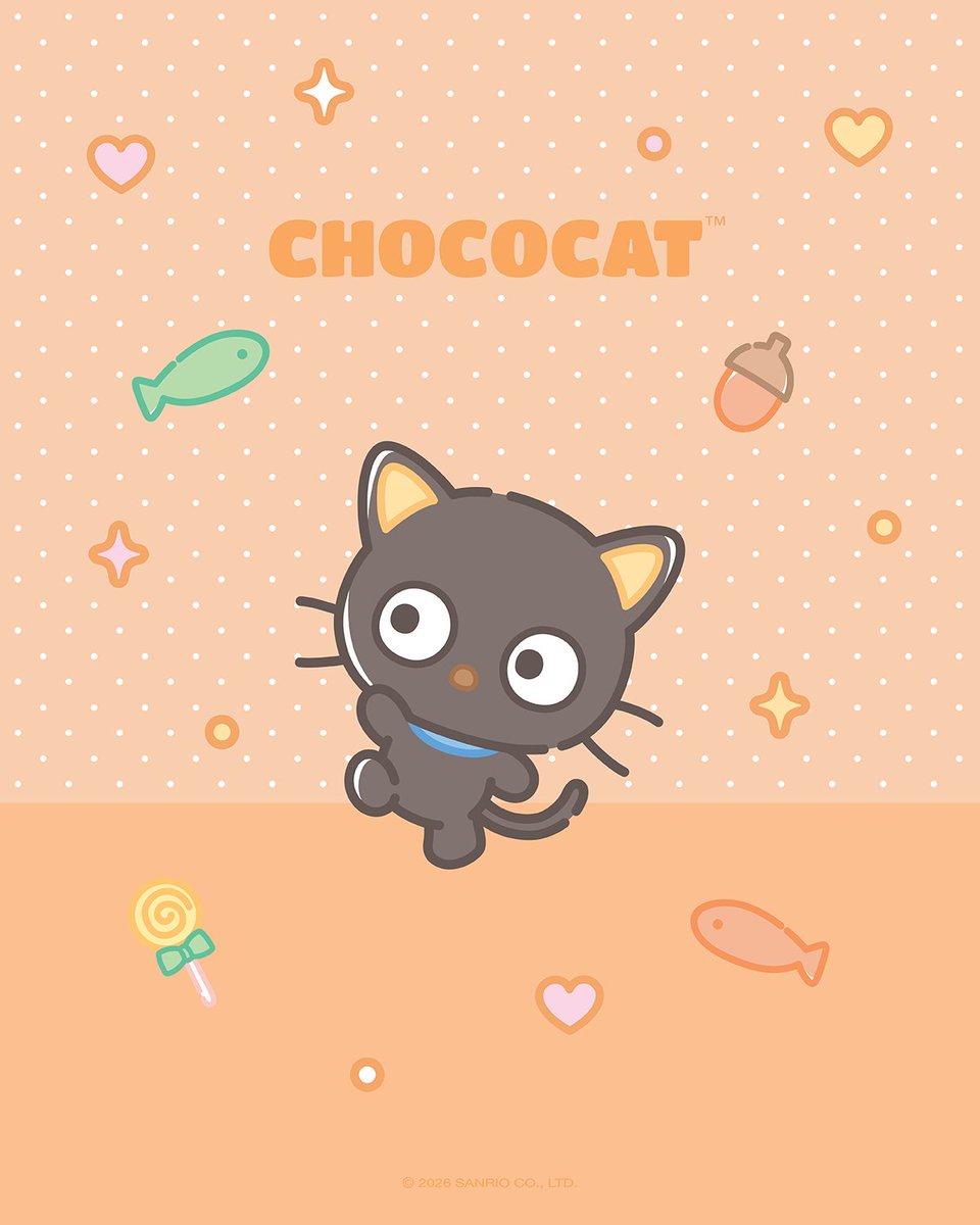 sanrio's tweet photo. Say hello to September’s Friend of the Month: Chococat! 🖤👓 https://t.co/gzL27I7yjU
