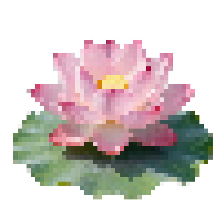 marvius_studio's tweet photo. kindly rt before use ��

📁 png : lotus 🪷 

“ do not repost 👈🏻

( #แจกไฟล์png #png #giveaway #แจกpng ) https://t.co/GlAVwsbYPV