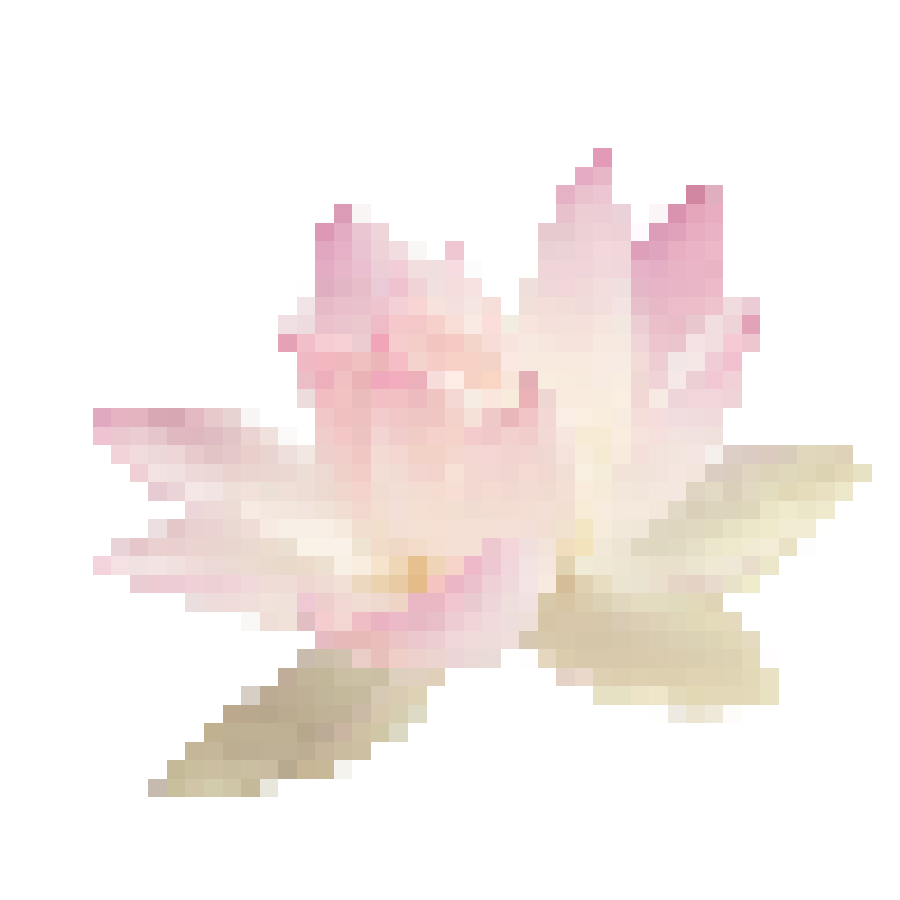 marvius_studio's tweet photo. kindly rt before use ��

📁 png : lotus 🪷 

“ do not repost 👈🏻

( #แจกไฟล์png #png #giveaway #แจกpng ) https://t.co/GlAVwsbYPV