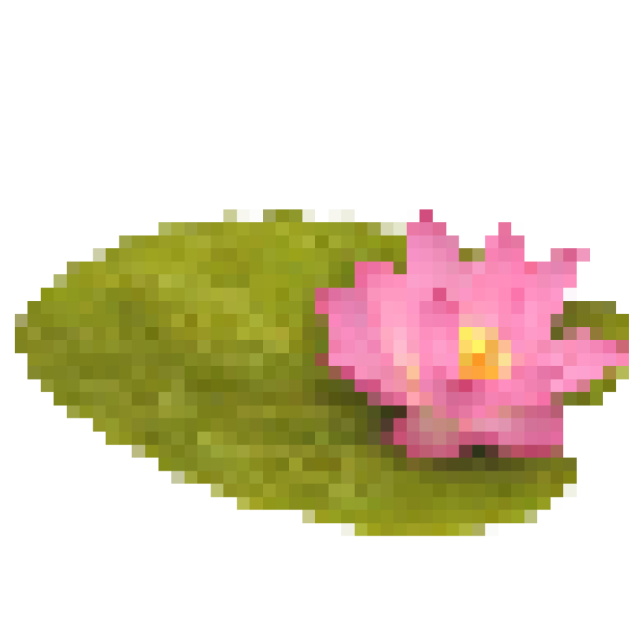 marvius_studio's tweet photo. kindly rt before use ��

📁 png : lotus 🪷 

“ do not repost 👈🏻

( #แจกไฟล์png #png #giveaway #แจกpng ) https://t.co/GlAVwsbYPV
