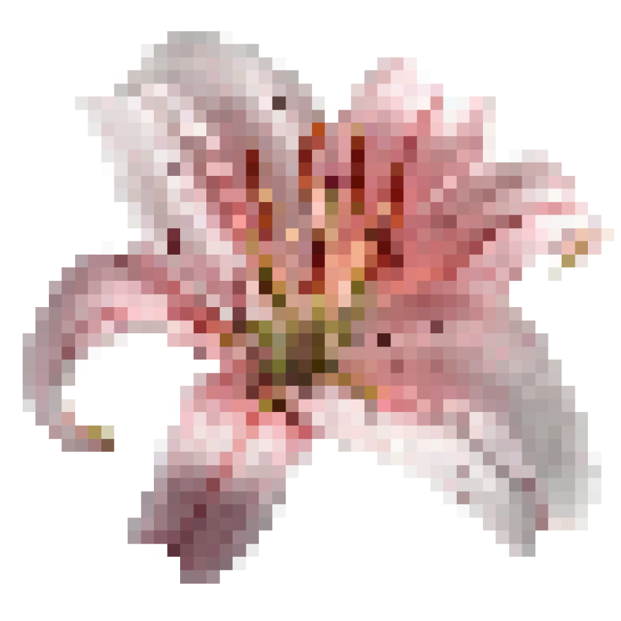 marvius_studio's tweet photo. kindly rt before use ��

📁 png : lotus 🪷 

“ do not repost 👈🏻

( #แจกไฟล์png #png #giveaway #แจกpng ) https://t.co/GlAVwsbYPV