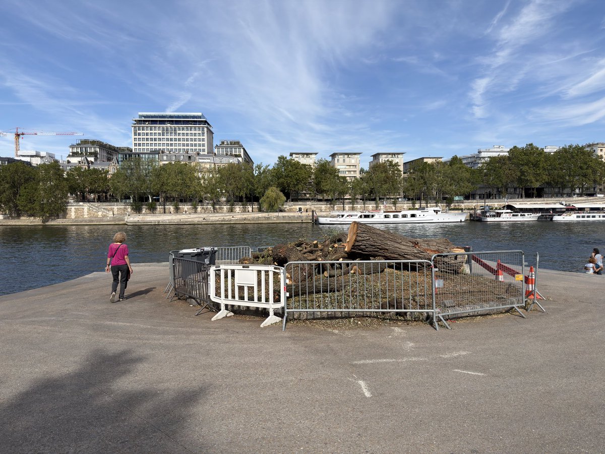 BGianeselli's tweet photo. Quelqu’un peut m’expliquer pourquoi le magnifique saule pleureur de 12 m de haut et 2,5 m de circonférence du square Tino Rossi a été abattu ? 😳

Aucune information dans l’open data de la Ville de Paris.

@Mairie5Paris ??? https://t.co/ASeVcOMG6h