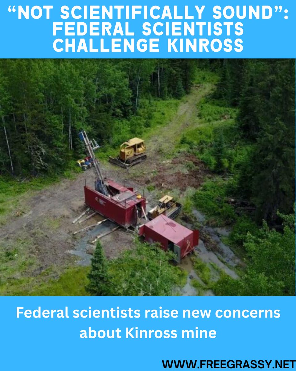 FreeGrassy's tweet photo. 🚨 New @TorontoStar reporting says federal scientists found Kinross Gold’s conclusion that its proposed mine wouldn’t worsen water quality upstream from Grassy Narrows was “not scientifically sound.”

Read and share full article https://t.co/zV71d8aUge

#FreeGrassy #GrassyNarrows https://t.co/GZFdEbtC66