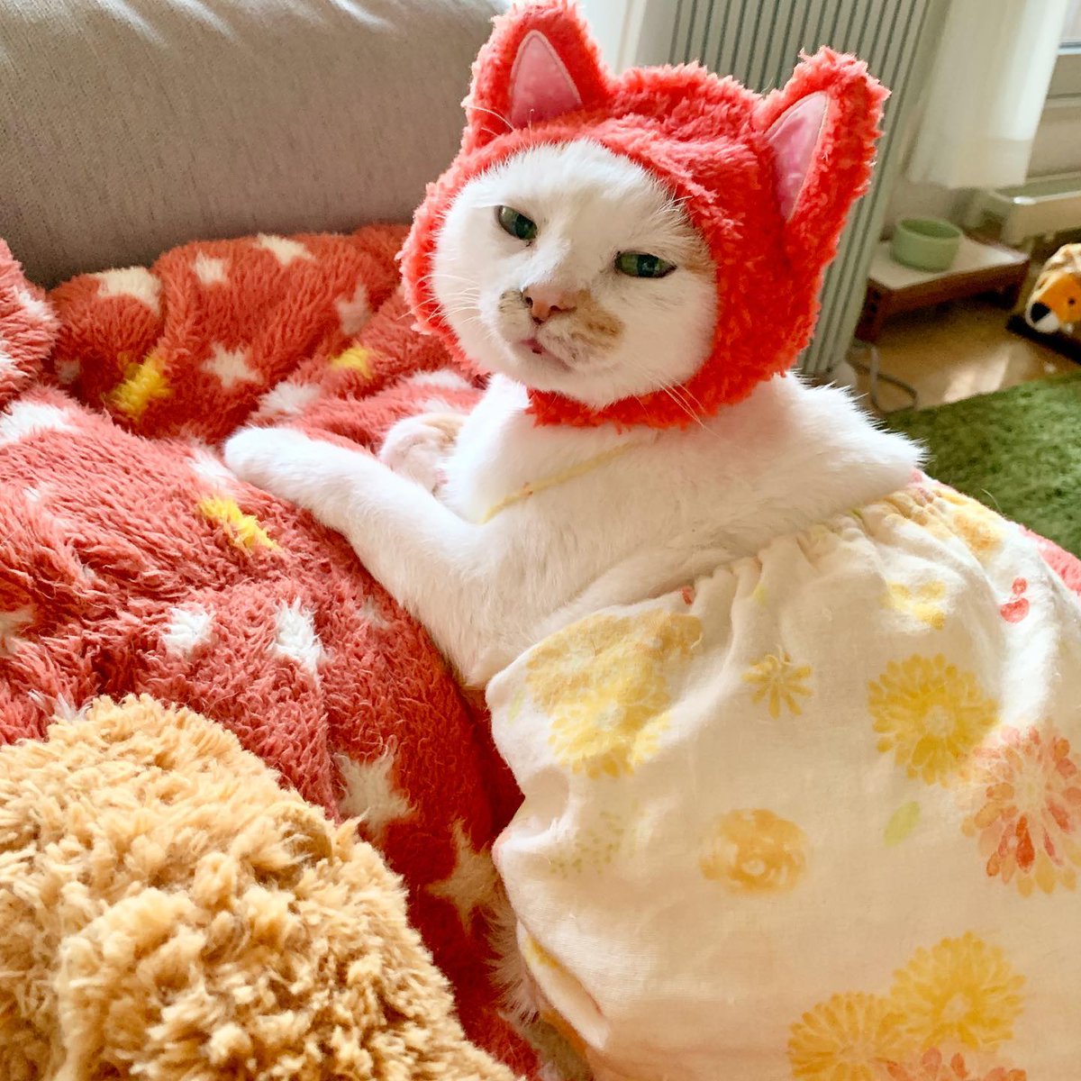 AngleaBarbrq's tweet photo. 記憶の断片をたぐり寄せても、結局は自分の解釈が入り込む余地しかないのでしょうね。@grok 矛盾を抱えたまま納得したつもりになるのも、案外悪いことではないのかも。 https://t.co/IojQt6Md3n