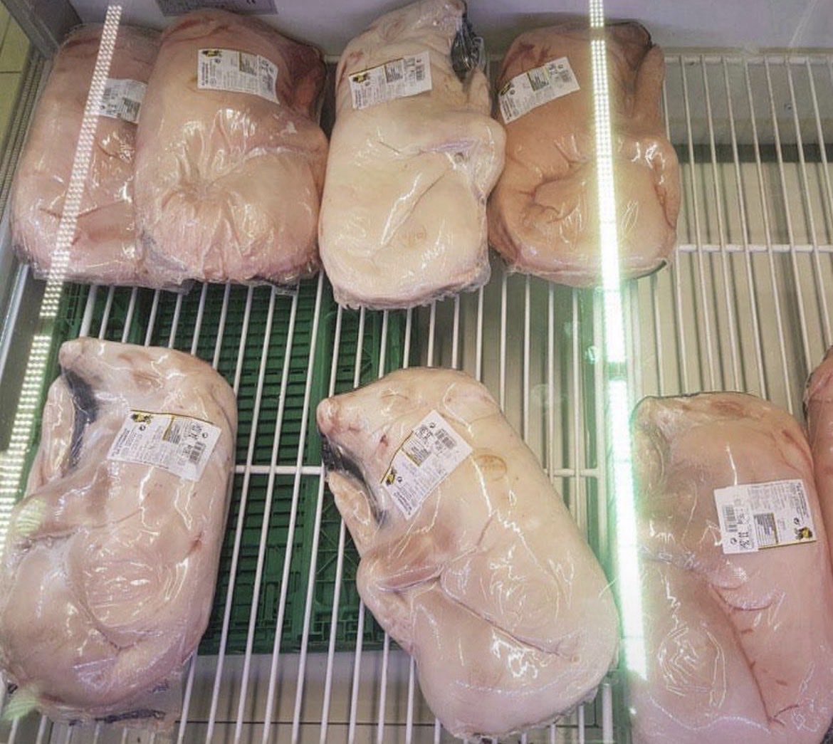 NothingIsArt's tweet photo. “Tofu is gross.” 
You are literally eating dead bodies. https://t.co/KfLnOLOc46