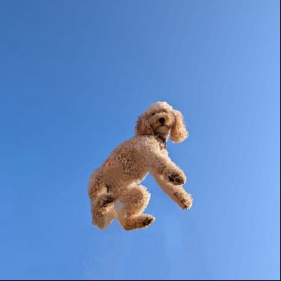 ANDERSONTHOUGHT's tweet photo. #NewProfilePic https://t.co/gAOfQibrmH