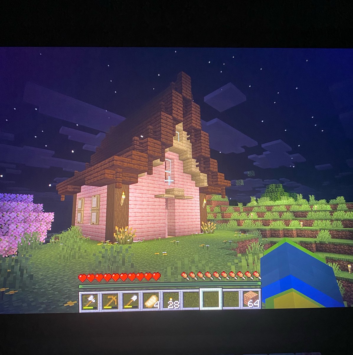 tympanismoon's tweet photo. i stayed up to 4am last night on ft w her, we spent 11hours on call guys, we played phas &amp; minecraft &amp; then we js talked for so long, i think it’s going rlly good 😛 anyway this is the house i built for us!! https://t.co/mo8ie4tGtM