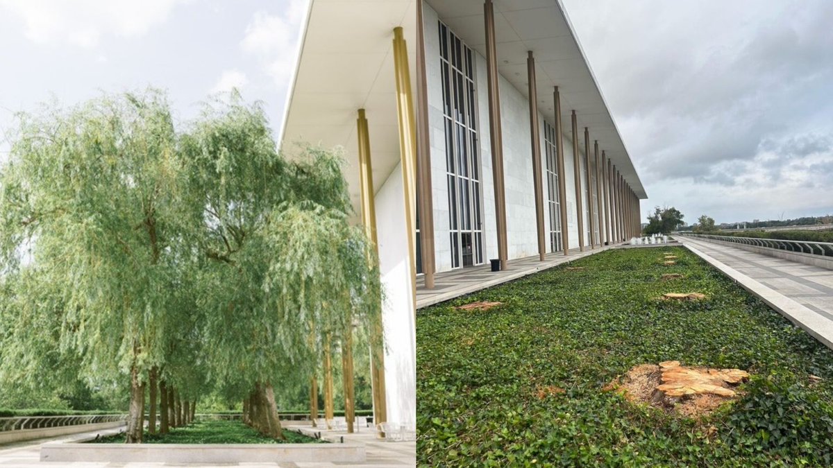 HQNewsNow's tweet photo. Left: Willow trees at the Kennedy Center before the Trump administration

Right: Willow tree stumps at the Kennedy Center after the Trump administration https://t.co/thIBxvwoBl