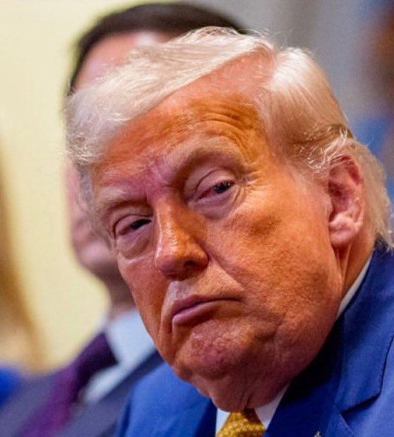 ML3democrats's tweet photo. When Trump’s presidency is over, it should be annulled. No library, no portrait, no titles, no honors, no Nobel prize. It’s a record of shame. Do you agree? https://t.co/DgyacP3RT4