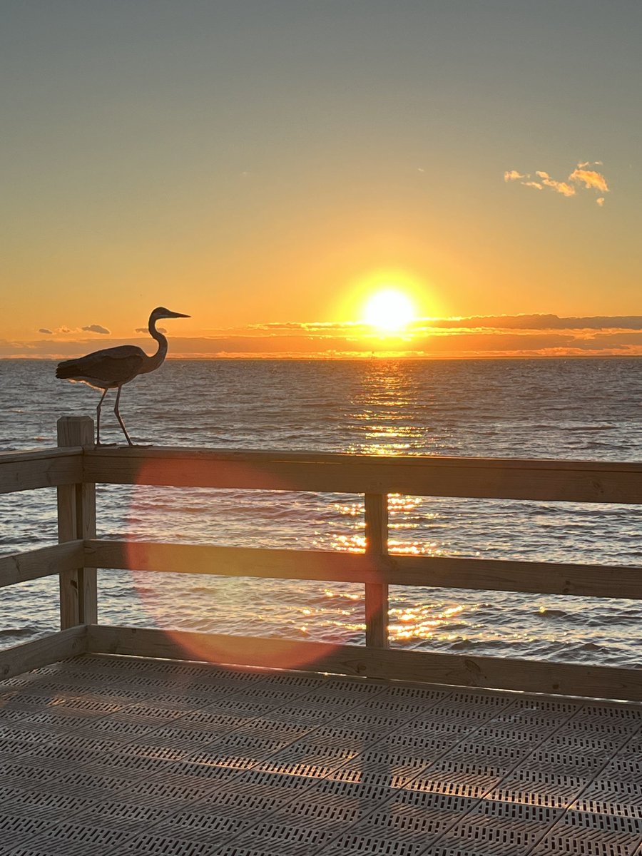 carolmswain's tweet photo. Do you have peace in your life? It isn’t out of reach.

Jesus said:

“Peace I leave with you; my peace I give you. I do not give to you as the world gives. Do not let your hearts be troubled and do not be afraid.”
— John 14:27 (NIV)

His peace is not the world’s temporary calm. It is a free gift that can still a troubled heart.

#peace #hope #Jesus