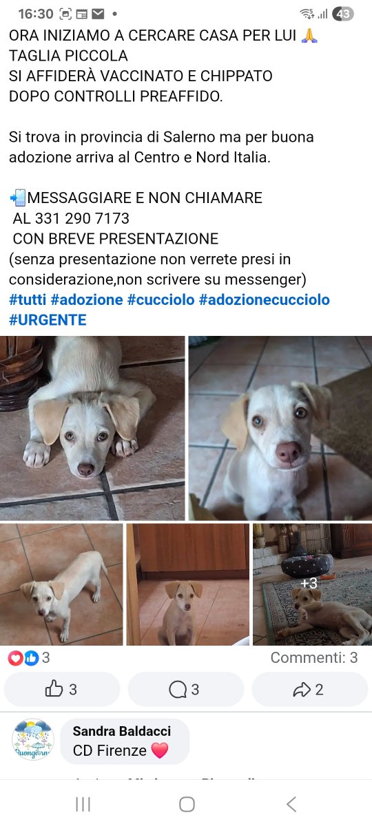 annina_cutillo's tweet photo. https://t.co/BaI2RcJyGC