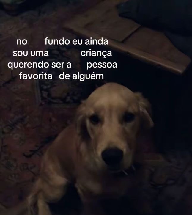 xheleninha's tweet photo. https://t.co/x65o9yX4qQ
