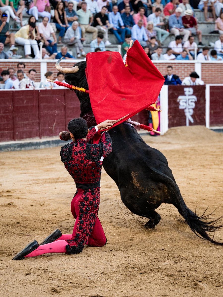 EmilianOsornio's tweet photo. Qué satisfacción haber toreado en San Sebastián de los Reyes, sentir el toreo y todo lo bonito que nace de él. https://t.co/JchTN4Fpu6