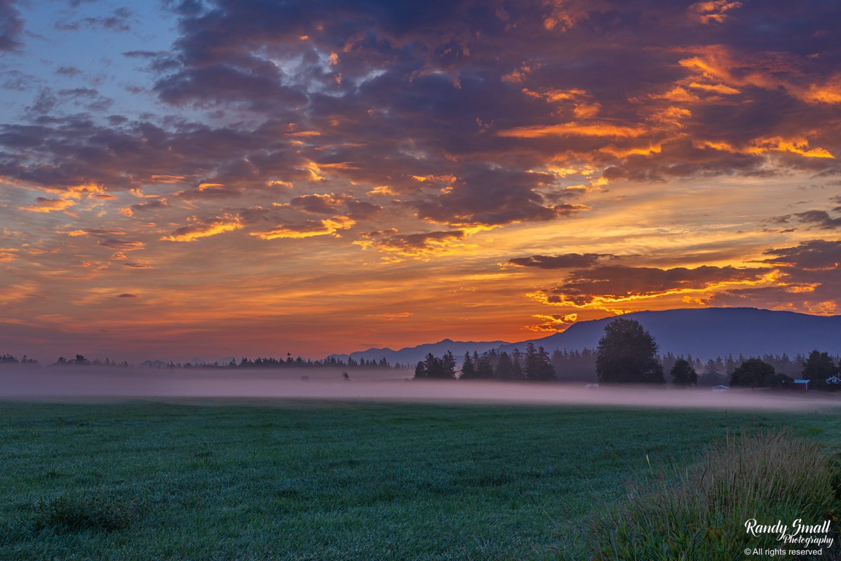 RandySmall's tweet photo. Sept. 1 sunrise was a great mix of fog, clouds, and color in the sky.
Whatcom County, WA
#fallvibes #autumn #fog #pnw #whatcomcounty #wawx https://t.co/tpGl865vCm