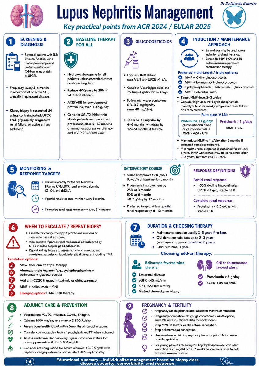 BodhibrataB's tweet photo. ⭐ Management of Lupus Nephritis : Practical Points From ACR 2024 &amp; EULAR 2025 https://t.co/nd341xNSvX