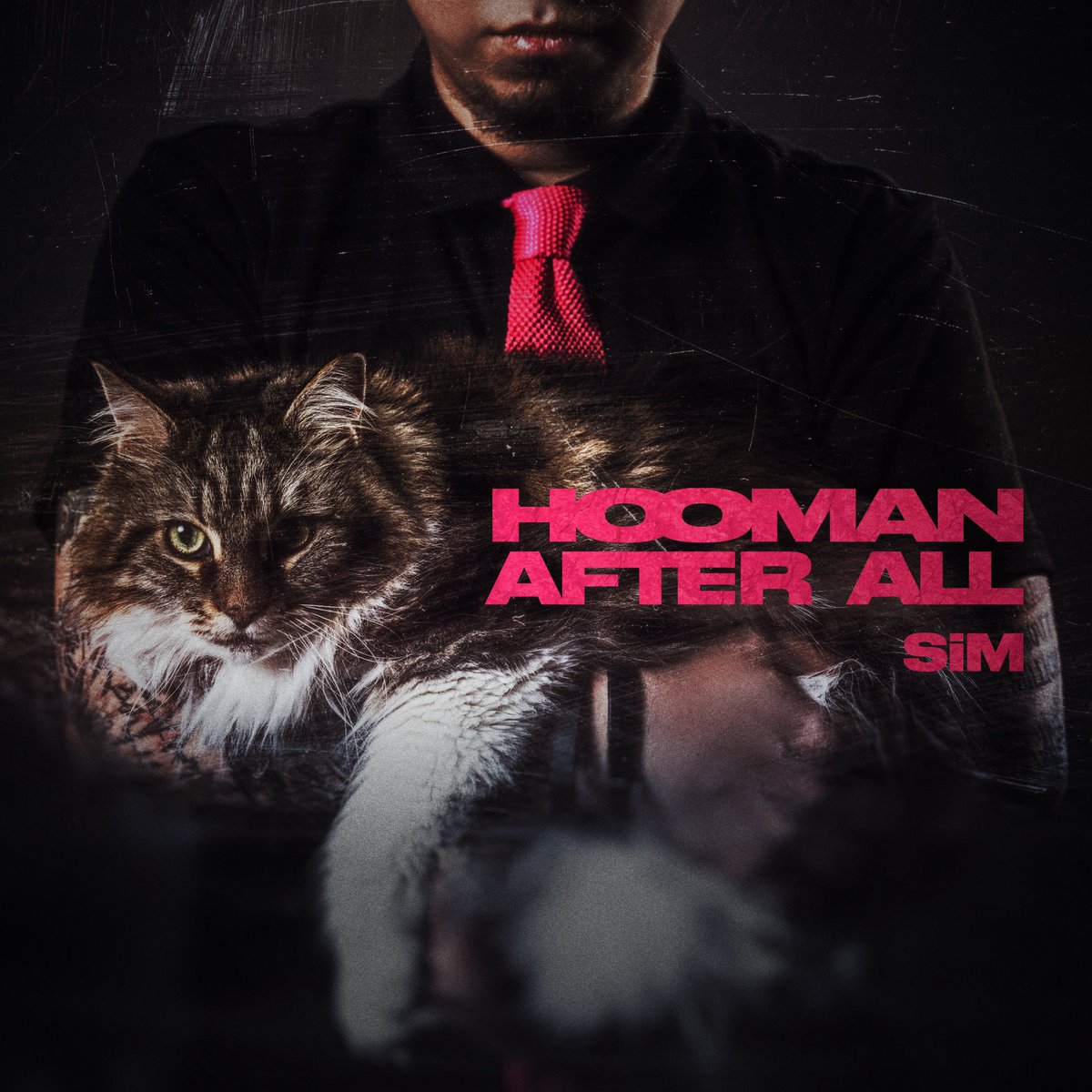SiM_Official's tweet photo. 🔥OUT NOW🔥

SiM 7th フルアルバム💿
『HOOMAN AFTER ALL』
配信リリース開始！！

SiM『HOOMAN AFTER ALL』
https://t.co/yAXcdMX14I

#SiM
#SiM7th
#SiMねこ盤
#HOOMANAFTERALL https://t.co/Kduu2m1fCZ