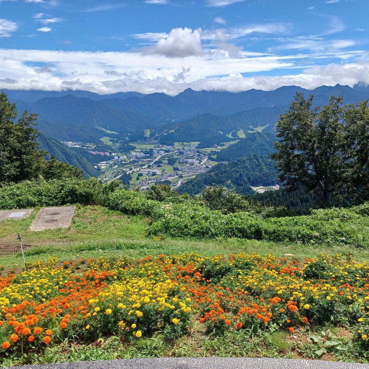 okaracya's tweet photo. 2026/9/1(火曜日)晴れ
お疲れさま～
8月は長岡花火から始まりお盆、栃尾まつりと色々とあり忙しかった
子供達や孫君達も来てお出掛けもして楽しく過ごしました✴️

本当に暑かったけど、もう9月
今月も宜しくお願いします☺️
#湯沢高原は涼しかった https://t.co/dnLcrxZF9P