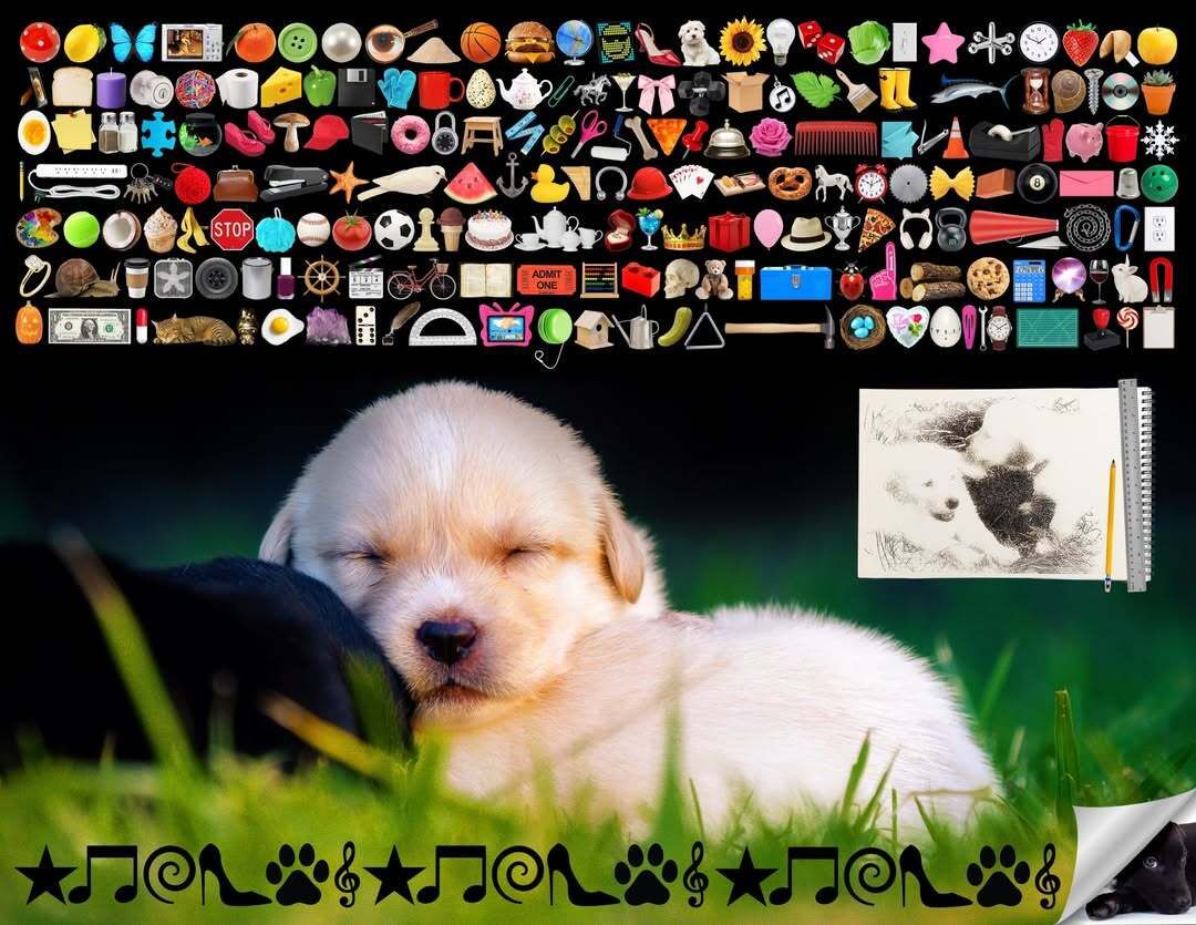 3CC0__'s tweet photo. Puppy collages by Gabriel Abascal (2025-26) https://t.co/N2gOxxHHcw
