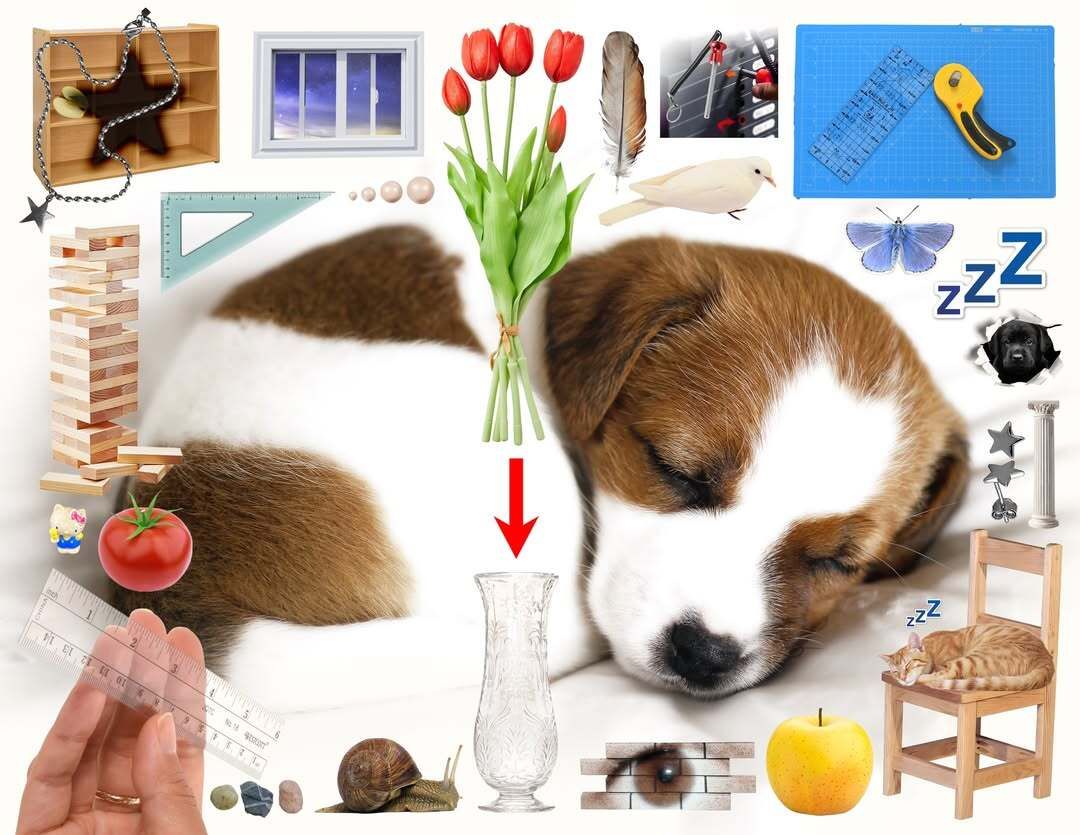 3CC0__'s tweet photo. Puppy collages by Gabriel Abascal (2025-26) https://t.co/N2gOxxHHcw