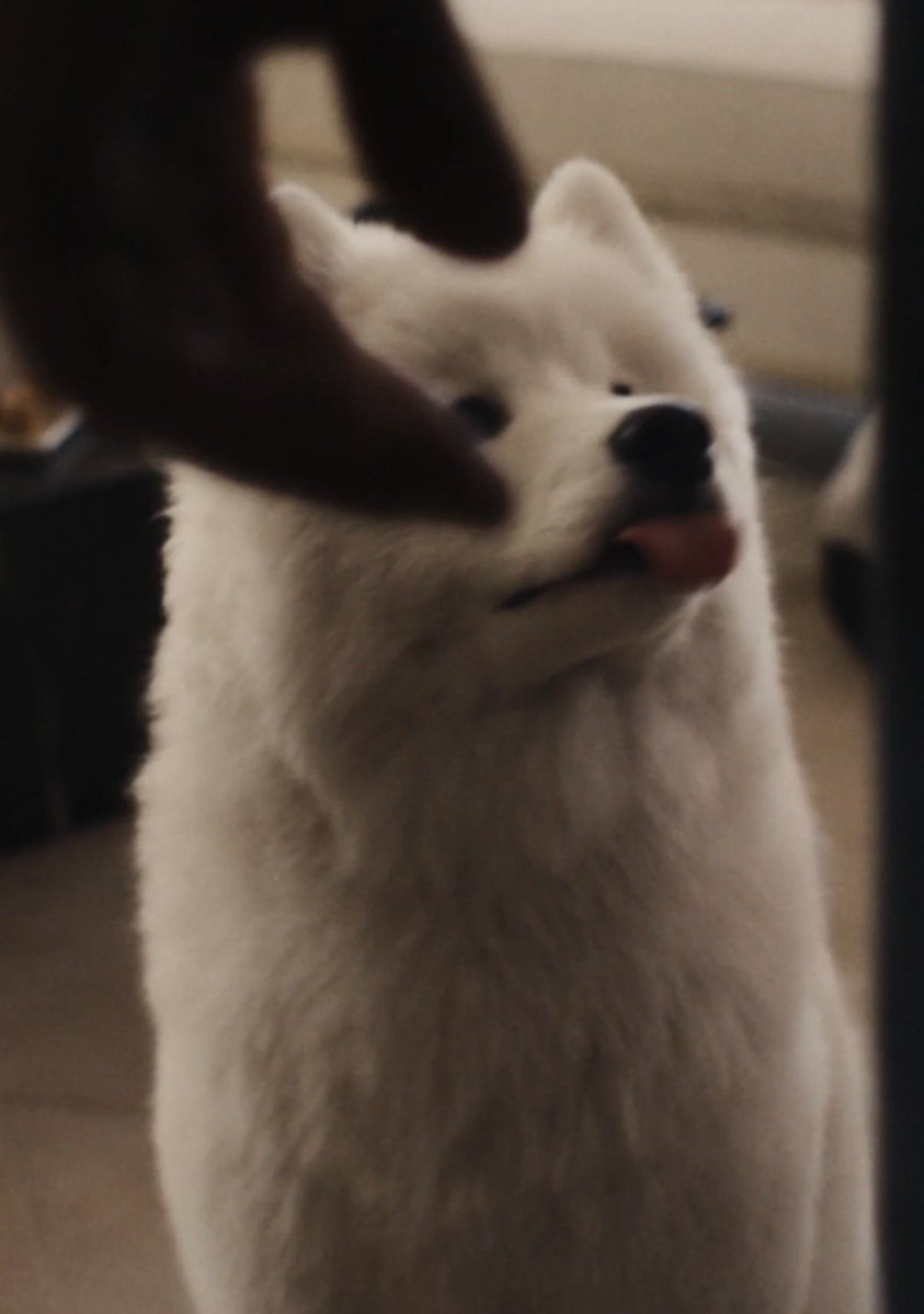 illicit8affairs's tweet photo. HER LITTLE TONGUE HOW ADORABLE https://t.co/m6taLMXbg3