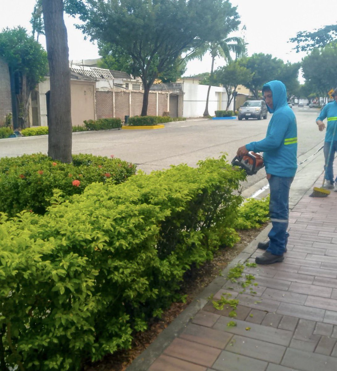 parquesgye's tweet photo. Se realizaron trabajos de poda, desbroce, limpieza, mantenimiento civil y desalojo, contribuyendo a conservar en mejores condiciones las áreas verdes y los espacios públicos.

Cada intervención suma al cuidado y recuperación de nuestros espacios para el disfrute de la ciudadanía.

#GuayaquilNoSeDetiene
#AquiEstamos
#AquilesCumplimos
#ObraDeAquiles
@alcaldiagye @taticoronelf