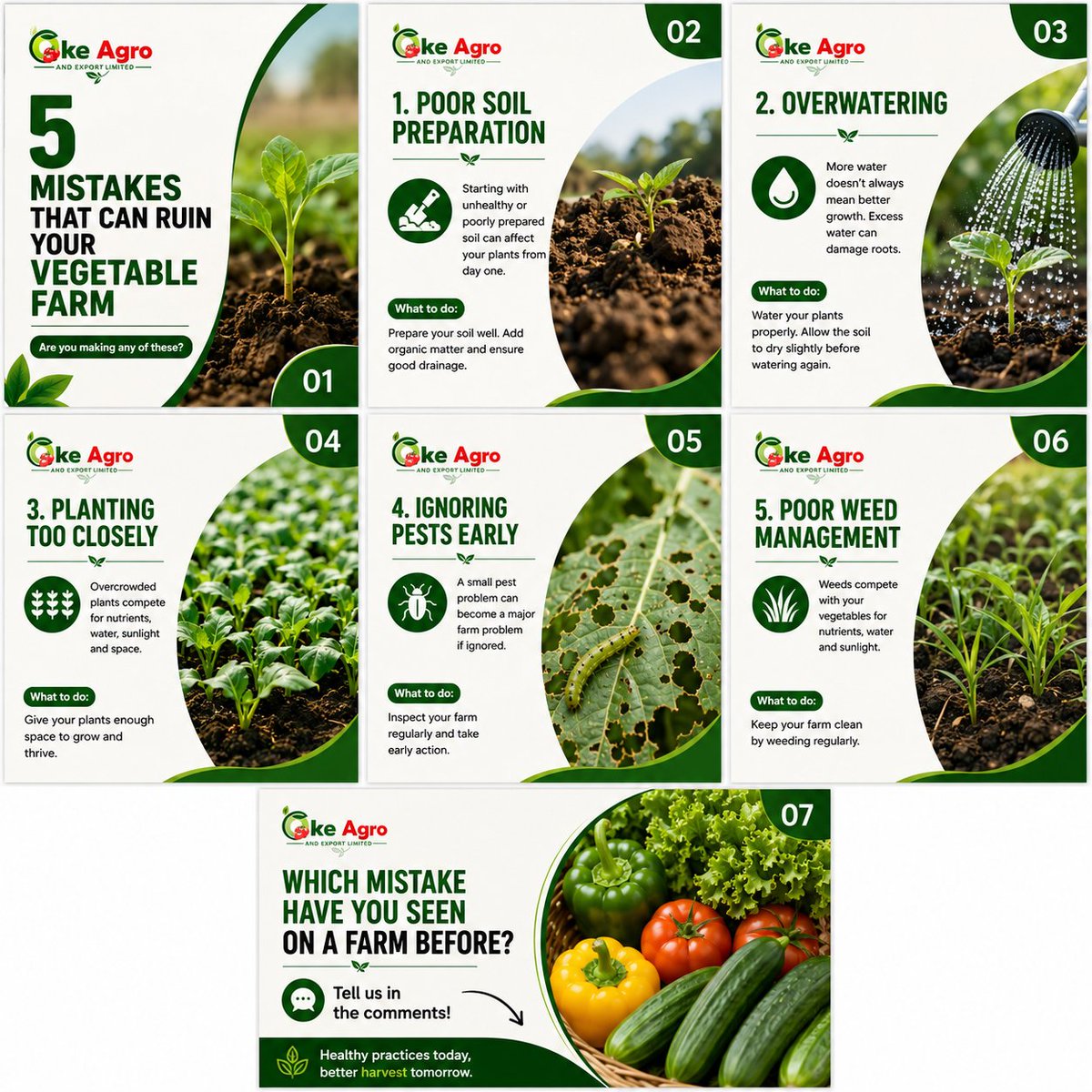 Okeagro's tweet photo. From soil preparation to watering, spacing, pests, and weeds, getting the basics right can make a big difference in your vegetable farm.
Which one have you experienced before? 👇
#OkeAgro  #FarmingTips #Agriculture #FarmLife #FoodProduction #GrowBetter #Nigeria #HealthyFood https://t.co/vjBFWDNL8P