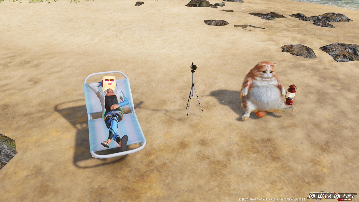 Tony94Yeh's tweet photo. Cubic beach photo part 3
This mark the end of the beach photo set and back to random posting
Happy early maintenance everyone
#PSO2NGS #NGS #PSO2NGS_SS
#PSO2global #PSO2 #PSO2_SS
#RappyMail #ARKSLounge #CubicARKS https://t.co/mmvHchWmzp