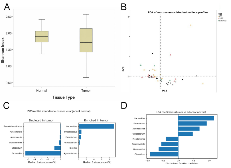 ASMicrobiology's tweet photo. In #mSystems, researchers examined both tissue-associated bacteria & DNA methylation in paired tumor & non-tumor tissue from patients w/ colorectal cancer to identify microbial & host methylation patterns linked to tumor tissue & serrated-pathway cancers. https://t.co/GZEfxwBas1 https://t.co/mGJtDcGXU5