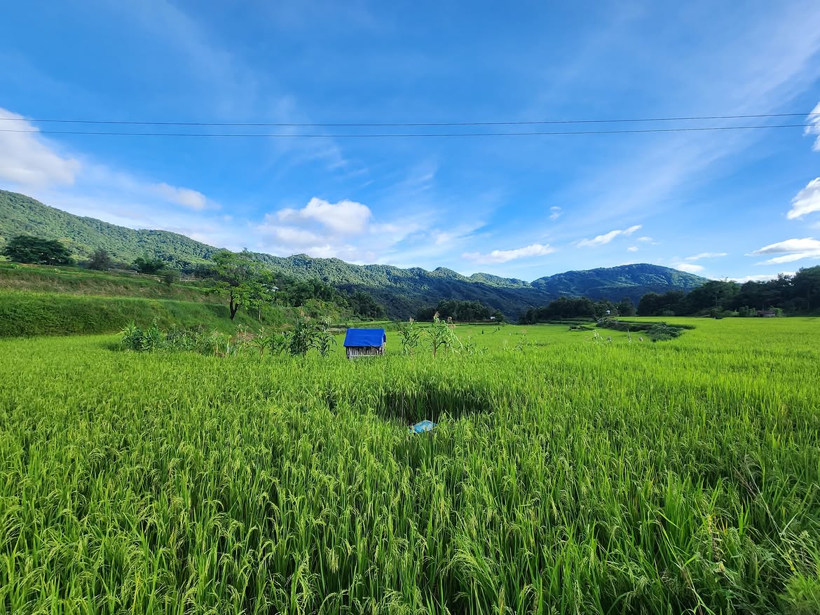 IndiaAesthetica's tweet photo. Purul in Senapati, Manipur 🟢🏘️⛰️🇮🇳 https://t.co/NQKd91YfPF
