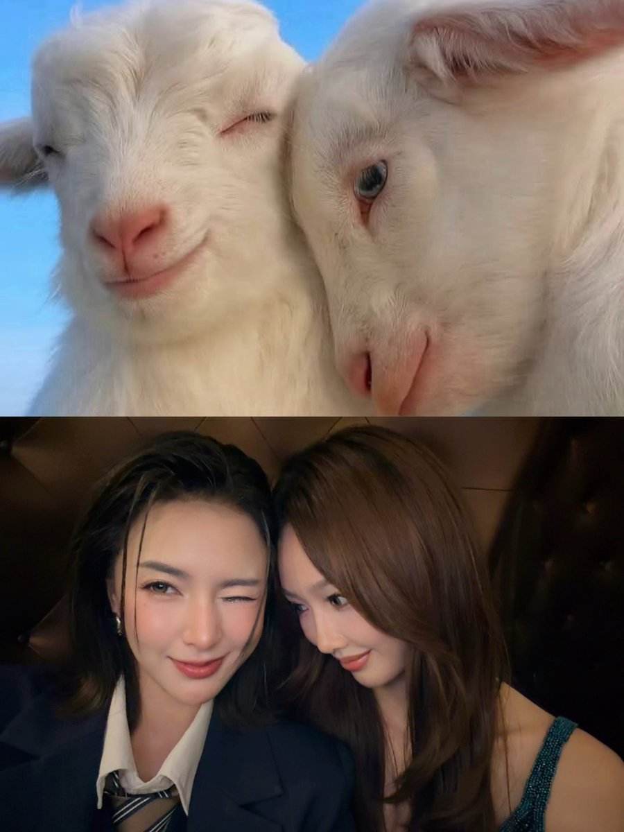 Tungpangplpl's tweet photo. 🐒😽🐶🐐💕🫶🏻

TPJS IS SHINING BRIGHT 01
#Tungpangjessie https://t.co/HDQpE5nCJZ