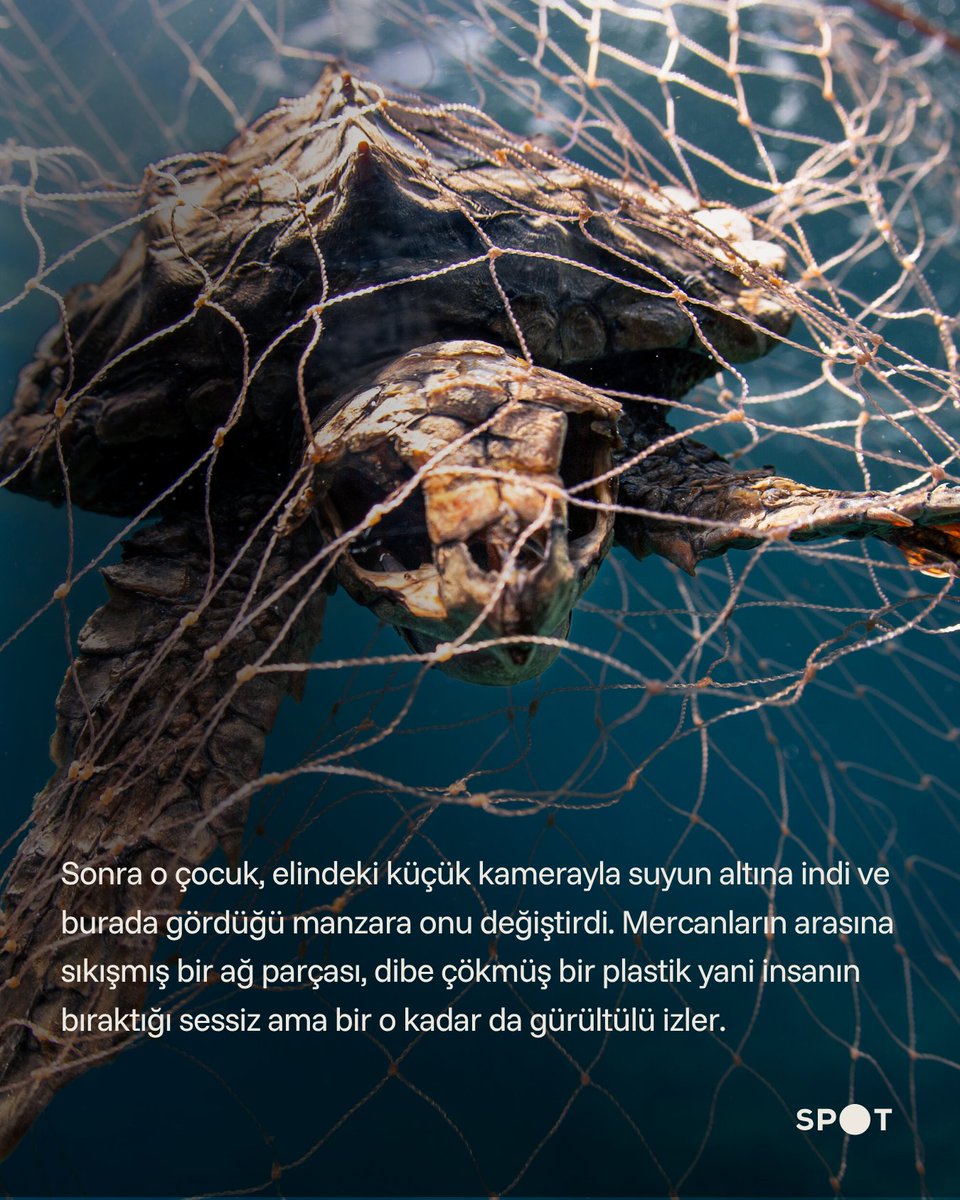 aaspotcom's tweet photo. 📷 16 yaşındaki Doğa Ergün, Sony World Photography Awards'ta 430 bin çalışma arasında ilk 9'a kaldı 

🌊 Doğa, yalnızca su altının eşsiz güzelliklerini değil insanın ekosistem üzerinde bıraktığı olumsuz etkiyi de fotoğraflıyor

https://t.co/Cg0dsZDbMl https://t.co/qcVRHDtJzl
