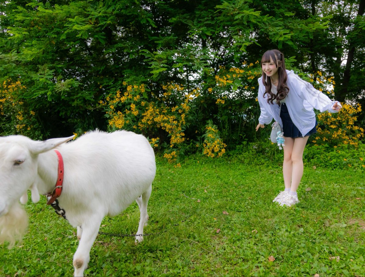 iLiFE_wakaba's tweet photo. ヤギ‼️‼️‼️‼️‼️ https://t.co/nehRWfbsWo