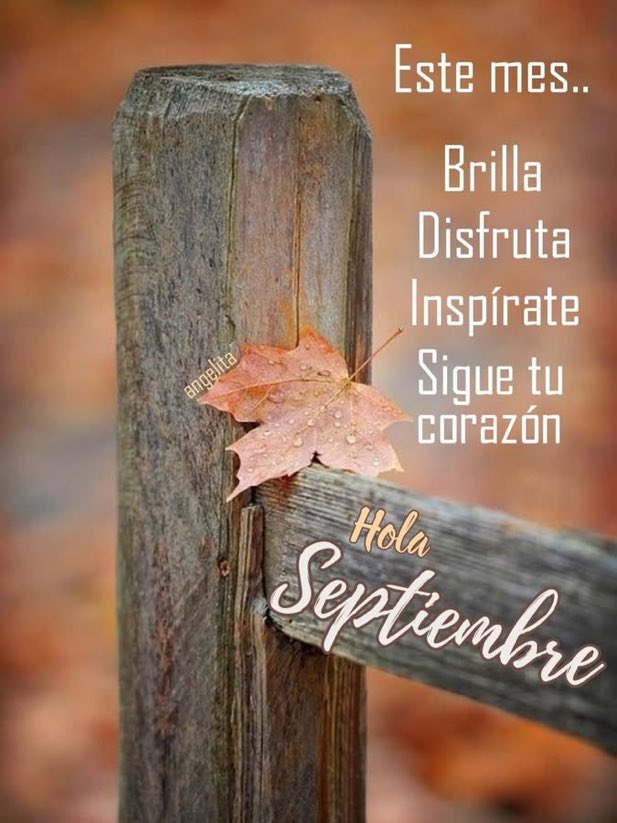 gratitud's tweet photo. Hola septiembre, te recibo con mucho amor 🧡! https://t.co/buK2sCVHry
