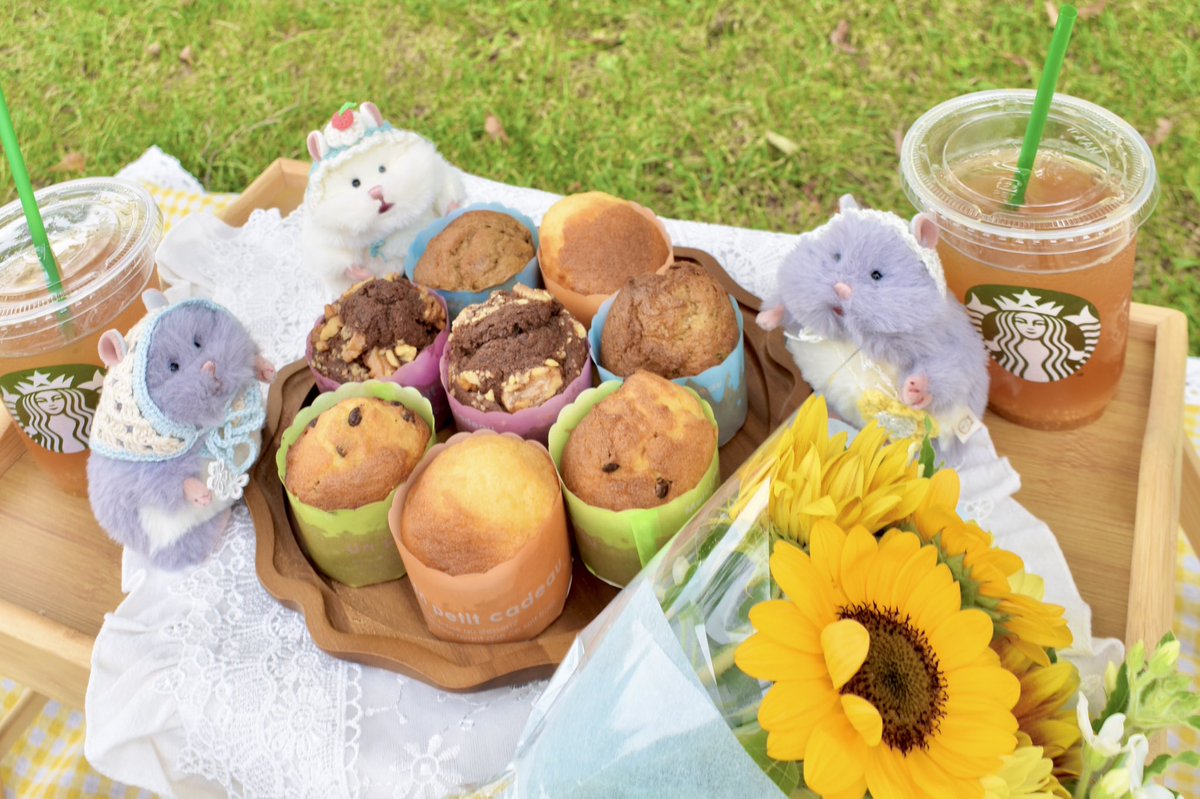0117_cos's tweet photo. 念願のピクニック~🧺💐ෆ.*･ﾟ https://t.co/tOcAJDozIc