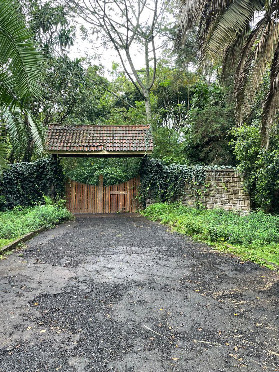 Techsupport97's tweet photo. Kenya inakaanga poa until ufike huku. Unakanyaga nyasi unareconnect na nature. https://t.co/gJymzBvBP8