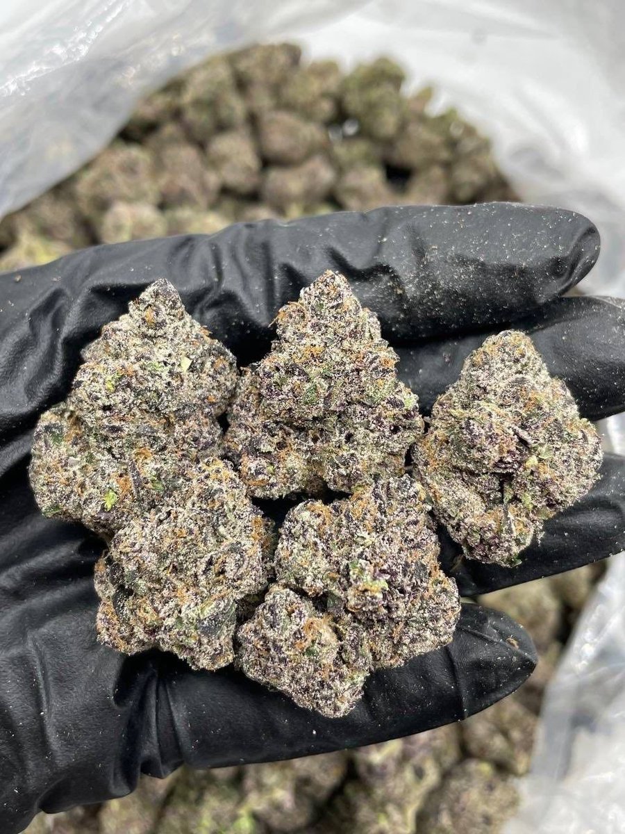 pluglcv2's tweet photo. Need gas ⛽️ hmu 🤙 mobile rn 
#dtx #dallasfreaks #dallastx #dfw #dtx #Dallasplugs https://t.co/eG2EGDFsla