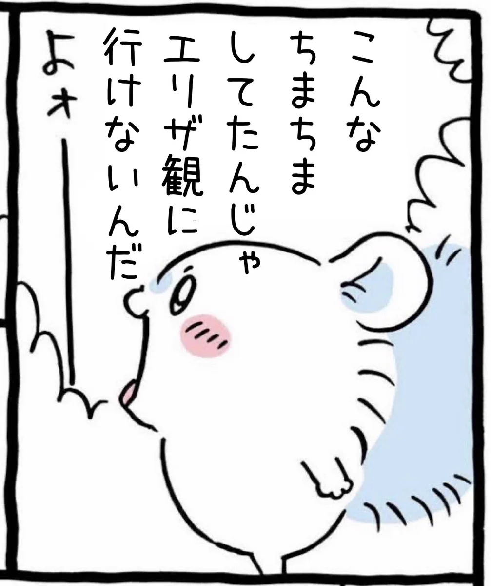 🥥🌻なちょす🐥(な茶)👶🏝️ (@lv6002xiajj) / X