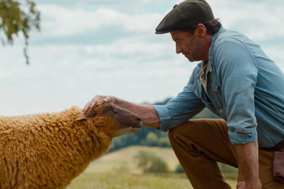 drewbagay's tweet photo. Honestly surprised that I really enjoyed THE SHEEP DETECTIVES, where talking sheep try to solve the murder of their shepherd. Just a sweet and cozy film overall with some profound themes as well. https://t.co/yeGZrzuODq