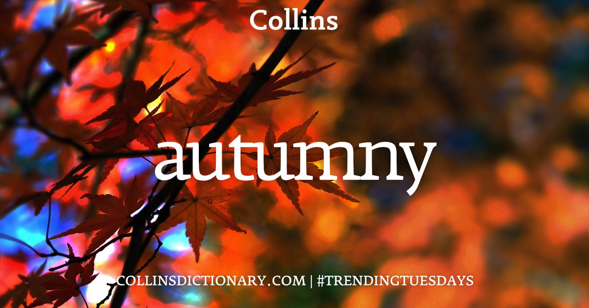 CollinsDict's tweet photo. https://t.co/qU5u6Q0ISh