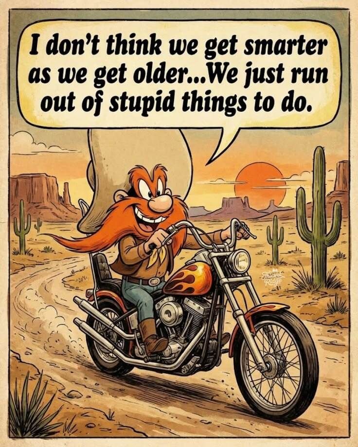 HappyMotorhead's tweet photo. Funny Humor https://t.co/zoICPfVmrb