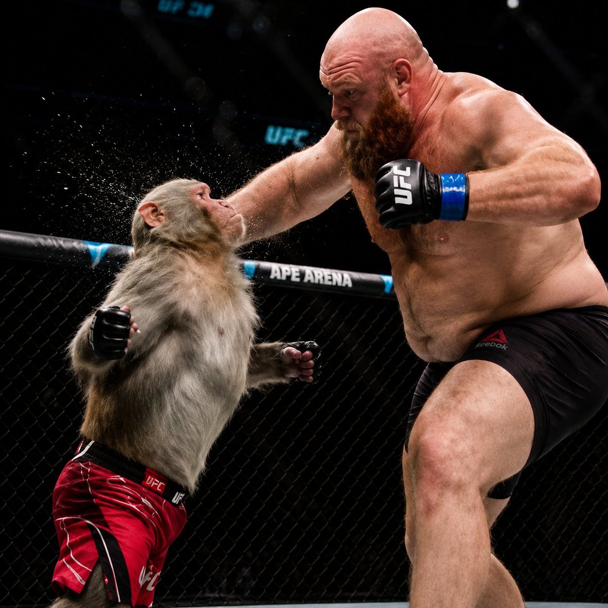 fapeufc's tweet photo. nobody knows how he got here
nobody knows who let him fight
but one thing is clear
THE APE IS NOT TAPPING.
$FAPE 🦍🥊
CA: 8gr3oFGTB76AfK9Und3k9PEZKgodKBaF13FRDSM4pump https://t.co/qq5KGh7Sgh