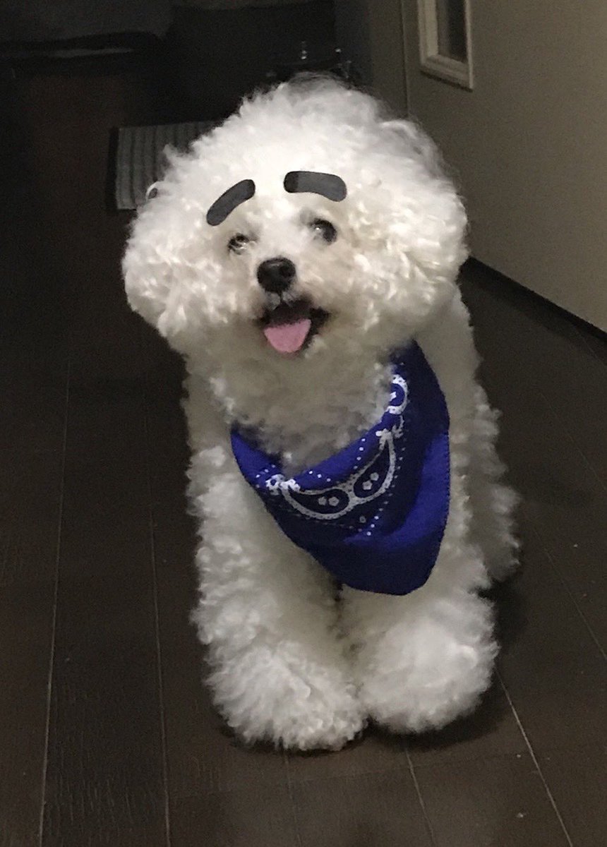 nalunalunalumin's tweet photo. ♡ https://t.co/4W8TdHdJyI