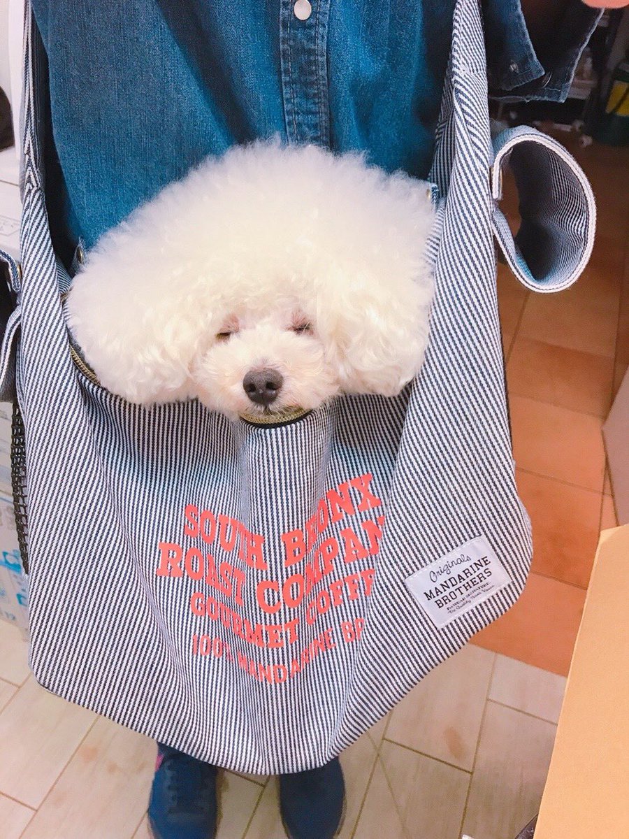 nalunalunalumin's tweet photo. ♡ https://t.co/4W8TdHdJyI