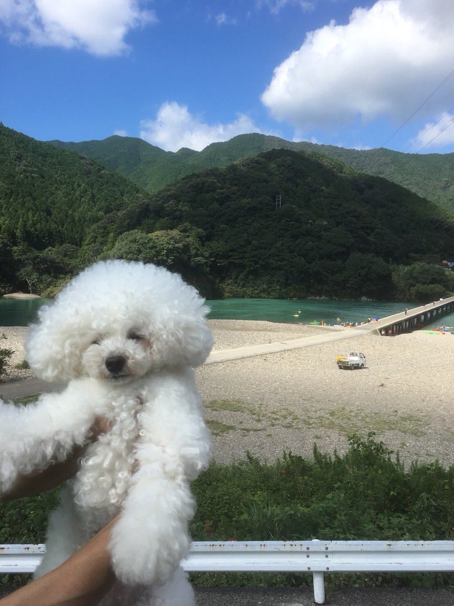 nalunalunalumin's tweet photo. ♡ https://t.co/4W8TdHdJyI