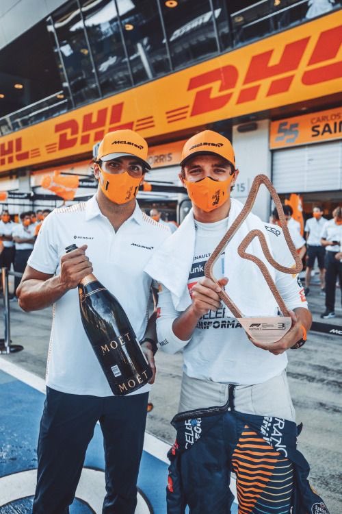 buckethatlando's tweet photo. happy birthday carlos sainz https://t.co/aHiUXqAhEj