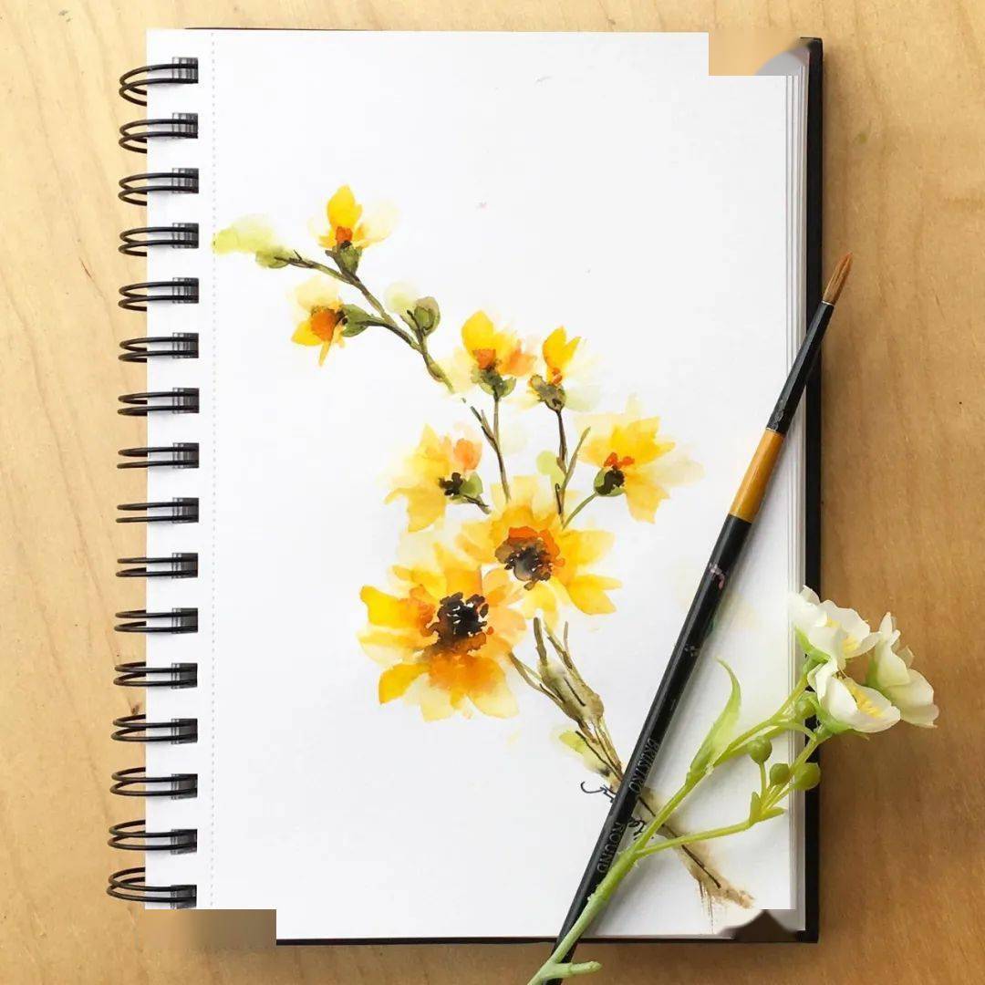 Gayathrika75's tweet photo. Tired of scrolling Spend 10 mins a day picking up watercolor doodles—small, fun, and you’ll get tiny works to frame in a week! https://t.co/1jz2pkDxxE