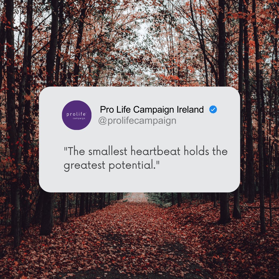 prolifecampaign's tweet photo. So much potential
#prolifeireland #protectlife https://t.co/u0rmgjpxFA