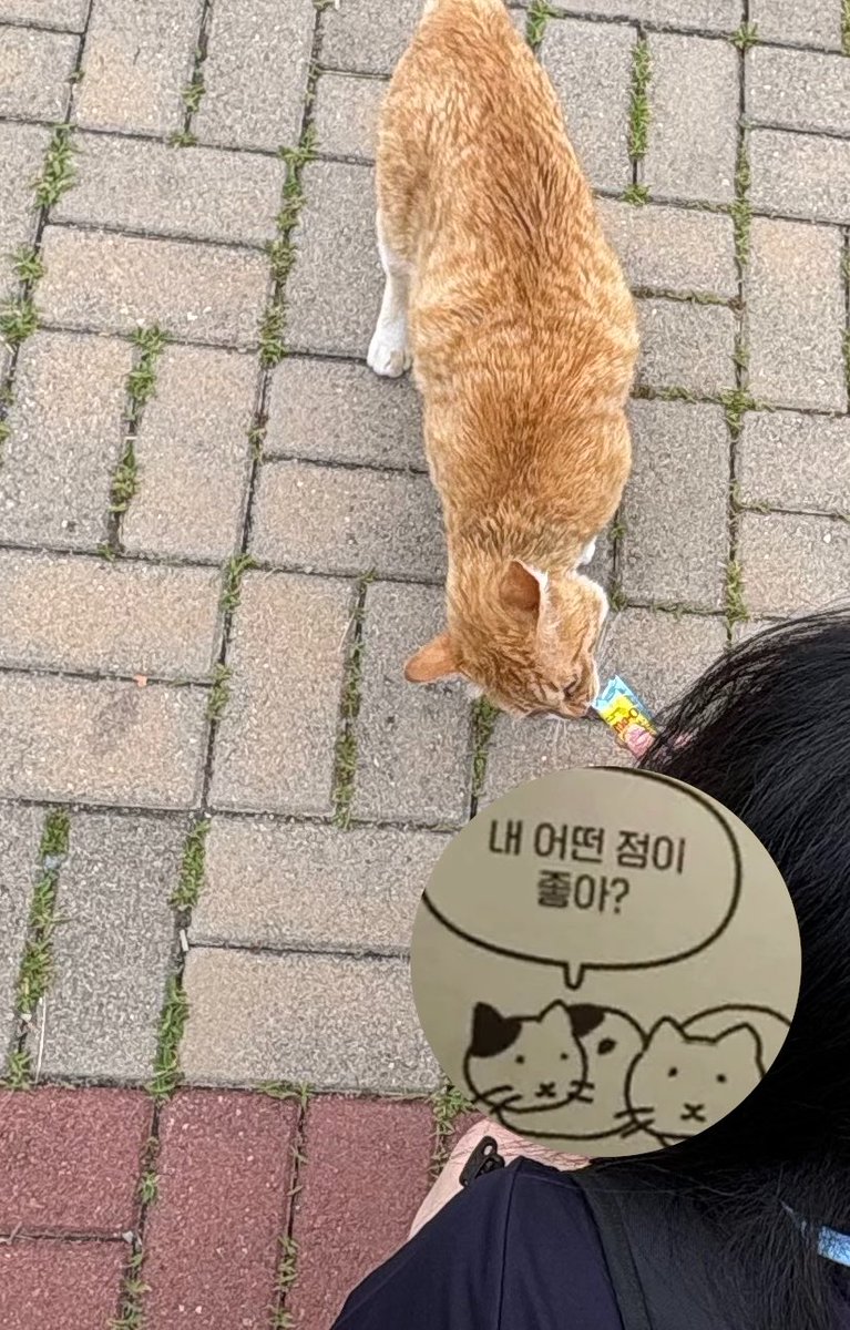 ddollio_o's tweet photo. 기여어 https://t.co/sd0tdTi9jw