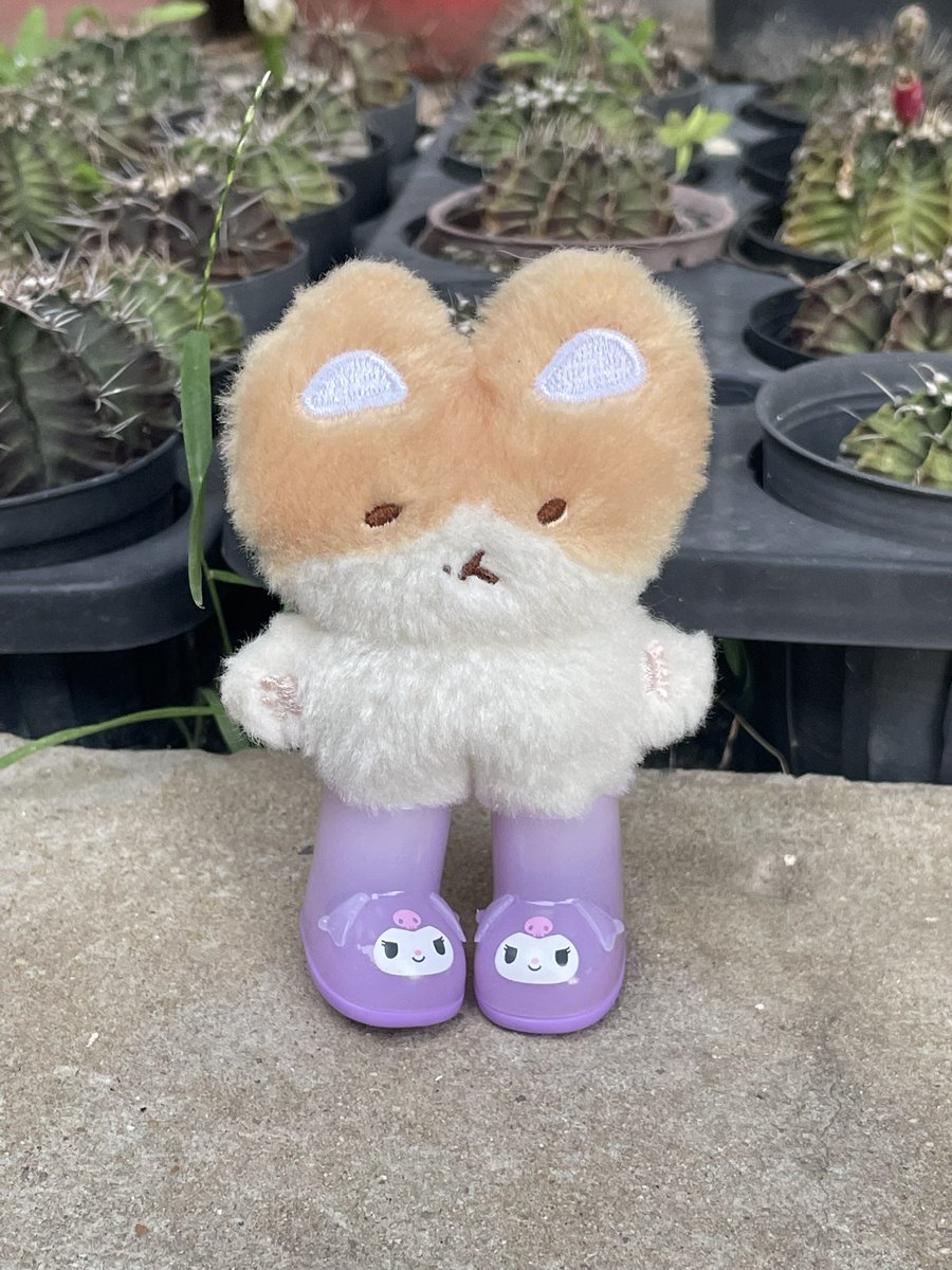 meowkyoong's tweet photo. คุโรเมะก้ดั้ย ;-; https://t.co/ZD9d6Rt3yw